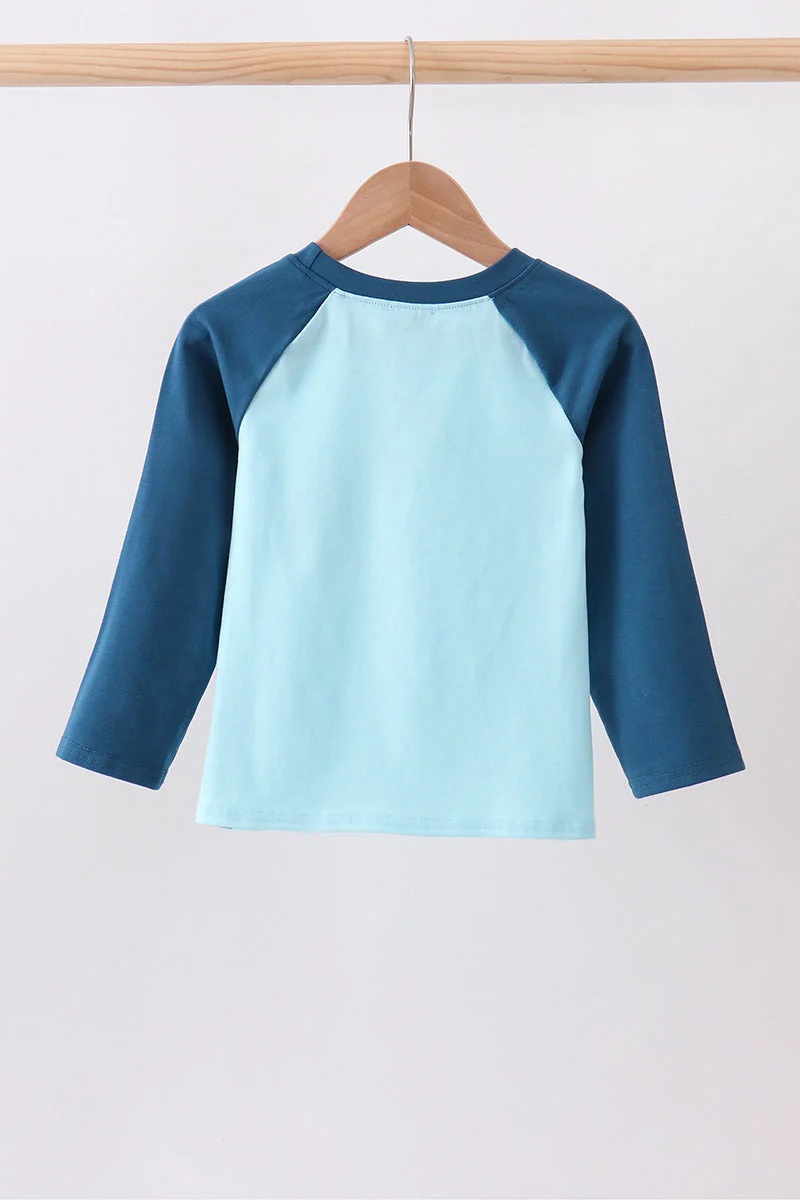 Teal Apple Embroidered Top - Image 3